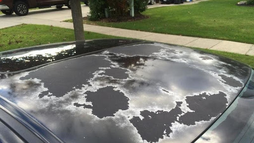 Clear Coat Peeling - Repair Finish Before Damage Spreads